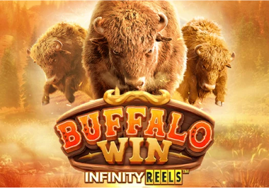 Buffalo WinNonon7967